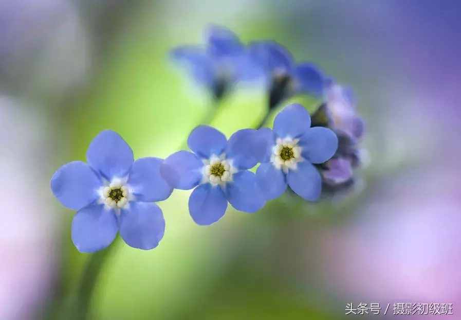 摄影基础知识：景深和它的决定因素