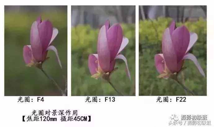摄影基础知识：景深和它的决定因素
