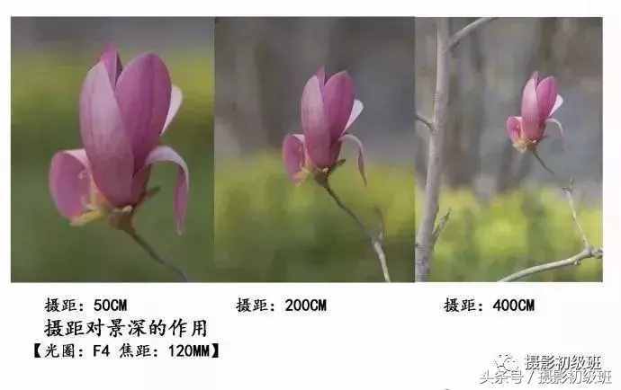 摄影基础知识：景深和它的决定因素
