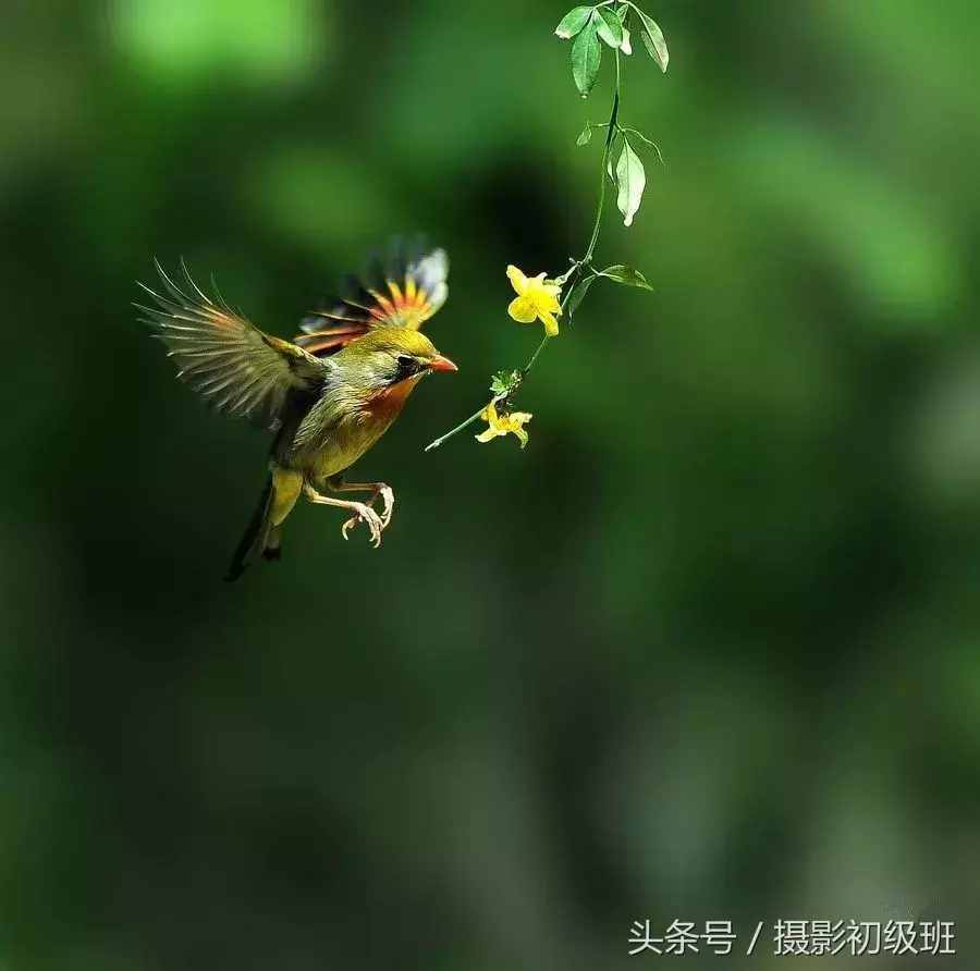 摄影基础知识：景深和它的决定因素