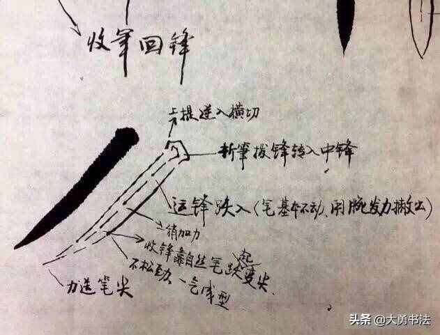 初学者应该从哪里开始学习书法，基本入门书法笔法教程