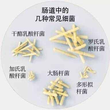 为什么放屁这么臭？当心，很可能是这种病找上门了