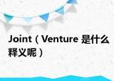 Joint（Venture 是什么释义呢）