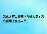 怎么才可以查网上在逃人员（怎么查网上在逃人员）