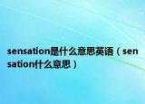 sensation是什么意思英语（sensation什么意思）