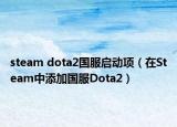 steam dota2国服启动项（在Steam中添加国服Dota2）