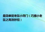 最简单捉老鼠小窍门（巧捕小老鼠之高效妙招）