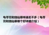 龟苓膏和烧仙草味道差不多（龟苓膏和烧仙草哪个好详细介绍）