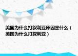 美国为什么打叙利亚原因是什么（美国为什么打叙利亚）
