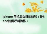 iphone 手机怎么呼叫转移（iPhone如何呼叫转移）