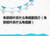 朱锁锁叶总什么电视剧简介（朱锁锁叶总什么电视剧）