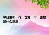 今日更新一花一世界一叶一菩提是什么意思