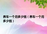 养车一个月多少钱（养车一个月多少钱）