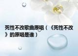 死性不改歌曲原唱（《死性不改》的原唱是谁）