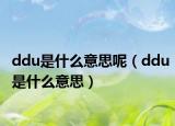 ddu是什么意思呢（ddu是什么意思）