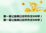 那一幕让我难以忘怀作文800字（那一幕让我难以忘怀作文800字）