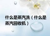 什么是蒸汽洗（什么是蒸汽回收机）