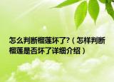 怎么判断榴莲坏了?（怎样判断榴莲是否坏了详细介绍）