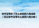 准考证号忘了怎么查询四六级成绩（忘记准考证号怎么查四六级分数）