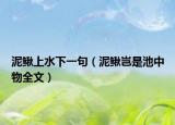 泥鳅上水下一句（泥鳅岂是池中物全文）