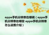 oppo手机分辨率在哪调（oppo手机分辨率在哪里 oppo手机分辨率怎么设置介绍）