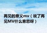 再见的意义mv（说了再见MV什么意思呀）