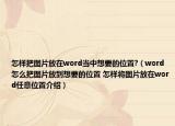 怎样把图片放在word当中想要的位置?（word怎么把图片放到想要的位置 怎样将图片放在word任意位置介绍）