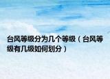 台风等级分为几个等级（台风等级有几级如何划分）