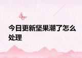 今日更新坚果潮了怎么处理