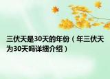 三伏天是30天的年份（年三伏天为30天吗详细介绍）