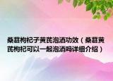 桑葚枸杞子黄芪泡酒功效（桑葚黄芪枸杞可以一起泡酒吗详细介绍）