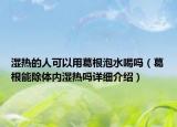 湿热的人可以用葛根泡水喝吗（葛根能除体内湿热吗详细介绍）