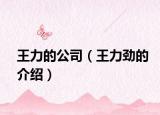 王力的公司（王力劲的介绍）