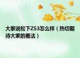 大家说松下ZS3怎么样（热切期待大家的看法）