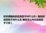 你知道魅族的语音助手叫什么吗（魅族的语音助手叫什么名 魅族怎么叫出语音助手介绍）