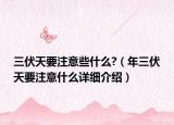 三伏天要注意些什么?（年三伏天要注意什么详细介绍）