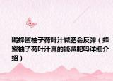 喝蜂蜜柚子荷叶汁减肥会反弹（蜂蜜柚子荷叶汁真的能减肥吗详细介绍）