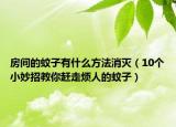 房间的蚊子有什么方法消灭（10个小妙招教你赶走烦人的蚊子）