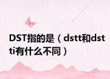 DST指的是（dstt和dstti有什么不同）