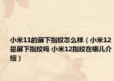 小米11的屏下指纹怎么样（小米12是屏下指纹吗 小米12指纹在哪儿介绍）