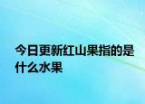 今日更新红山果指的是什么水果