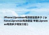 iPhone12promax电池容量是多少（iphone12promax电池容量 苹果12promax电池多少毫安介绍）