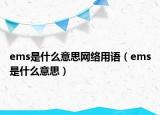 ems是什么意思网络用语（ems是什么意思）