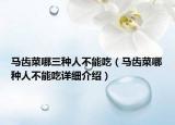 马齿菜哪三种人不能吃（马齿菜哪种人不能吃详细介绍）