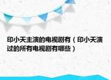 印小天主演的电视剧有（印小天演过的所有电视剧有哪些）