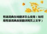 有道词典在线翻译怎么使用（如何用有道词典直接翻译网页上文字）