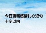 今日更新感情扎心短句十字以内