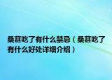桑葚吃了有什么禁忌（桑葚吃了有什么好处详细介绍）
