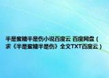 半是蜜糖半是伤小说百度云 百度网盘（求《半是蜜糖半是伤》全文TXT百度云）