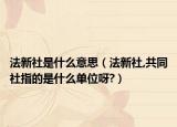 法新社是什么意思（法新社,共同社指的是什么单位呀?）